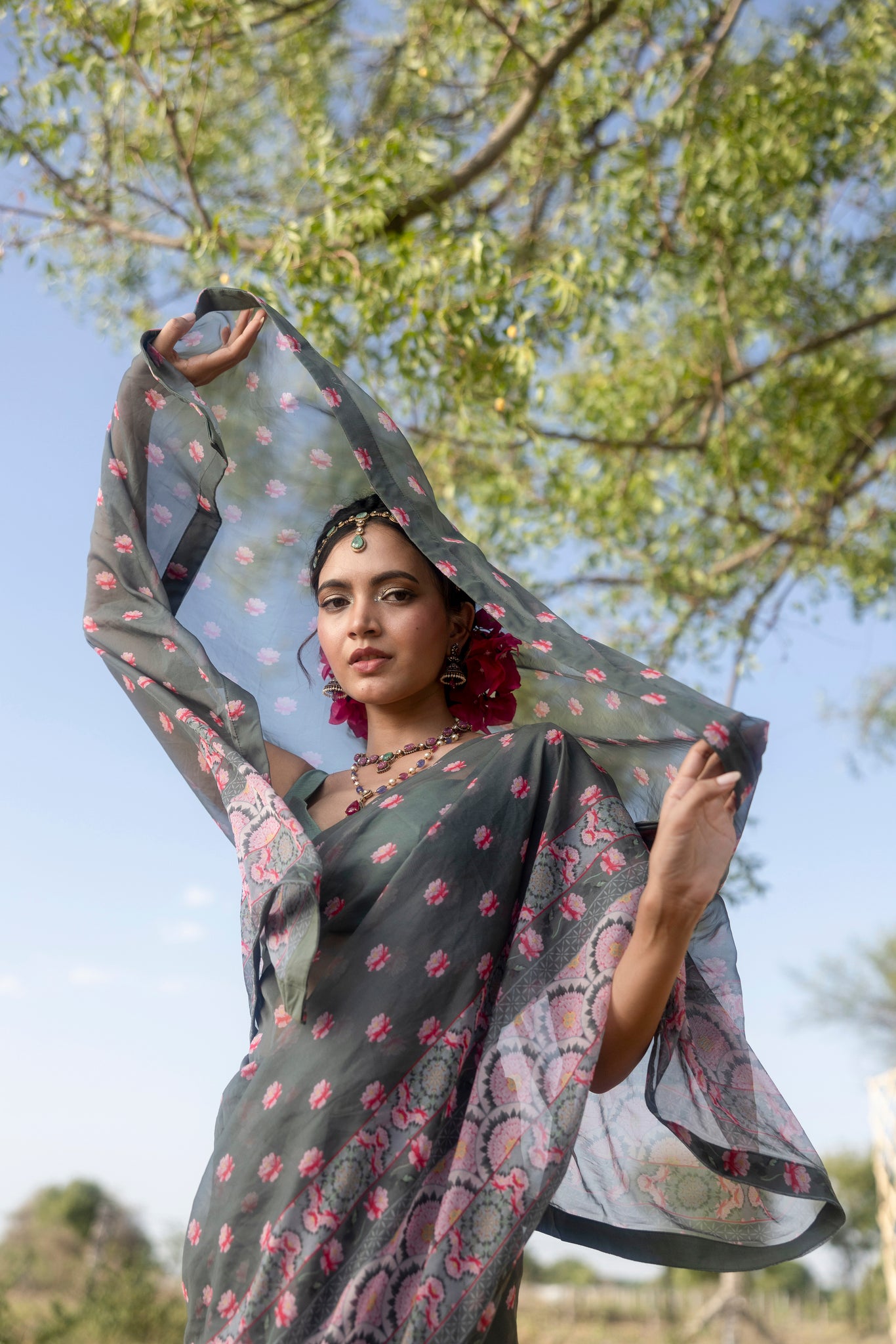 Printed Organza Saree